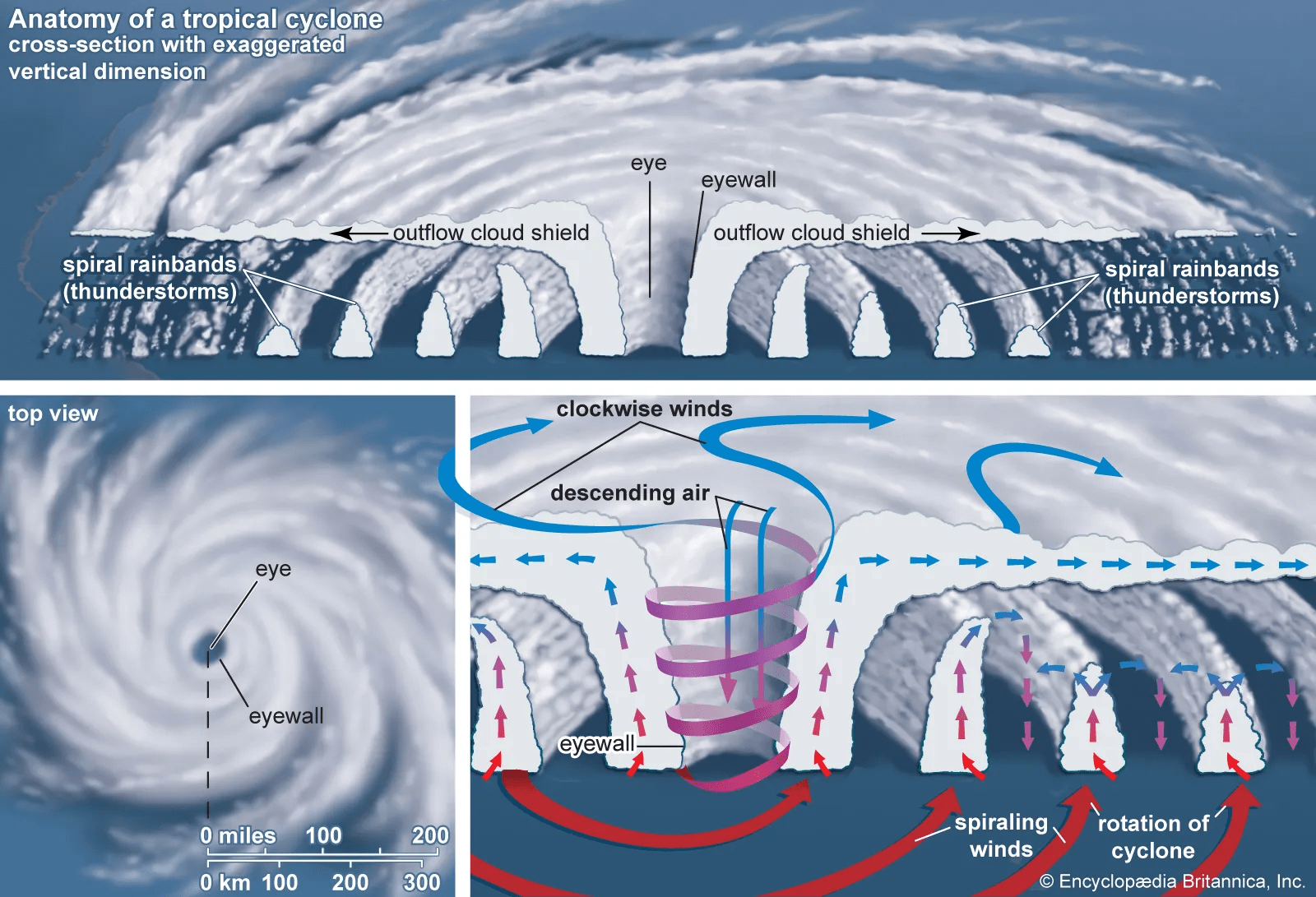 How to Predict a Tropical Cyclone? 